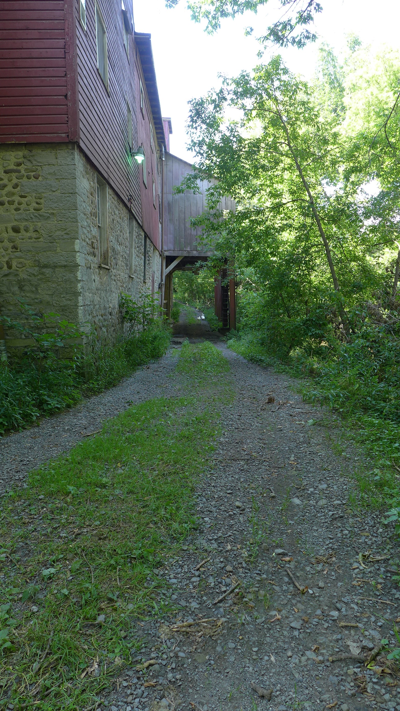 Chenango Canal Towpath Trail photo